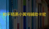 和平精英小黄鸡辅助卡密下载